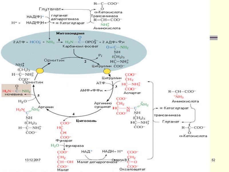 13.12.2017 52 Свергун В.Т.